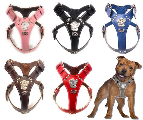 Harnais de Luxe Chien 